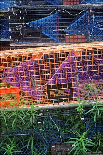 trapped in color 02